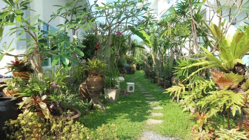 Bophut Hotel | The Tree Samui