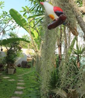 Bophut Hotel | The Tree Samui