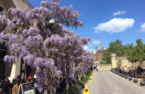 Oxford City Centre Apartment | The Ultimate Luxury in Central Oxford