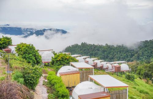 Mae Rim House | The View Homestay Monjam เดอะวิว โฮมสเตย์ม่อนแจ่ม