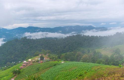 Mae Rim House | The View Homestay Monjam เดอะวิว โฮมสเตย์ม่อนแจ่ม