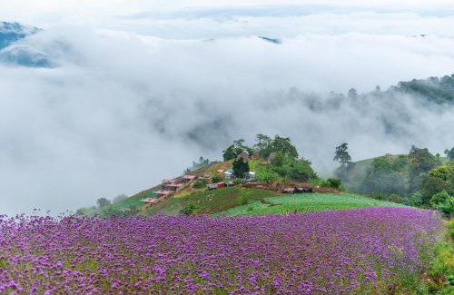 Mae Rim House | The View Homestay Monjam เดอะวิว โฮมสเตย์ม่อนแจ่ม