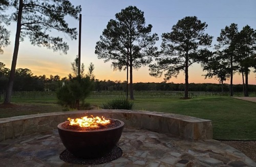 New Ulm House | The Vine - Modern, Rustic Barndominium on Vineyard with Private Lake, Sleeps 10