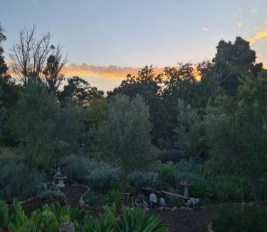 Robertson House | The Wildflower