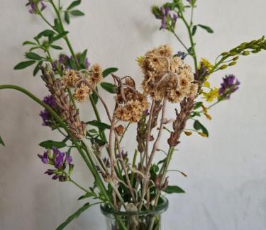 Robertson House | The Wildflower