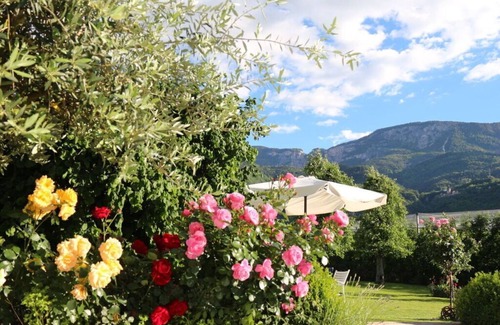 Nalles Apartment | Theo, RosenResidence Krösshof