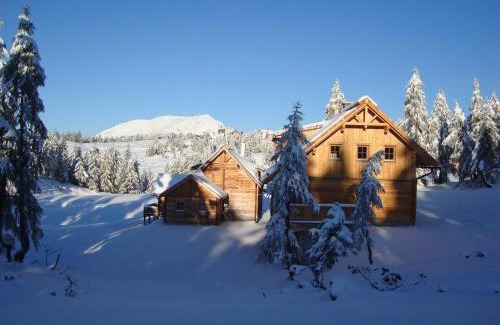 Tauplitz Apartment | Thomahofhuette