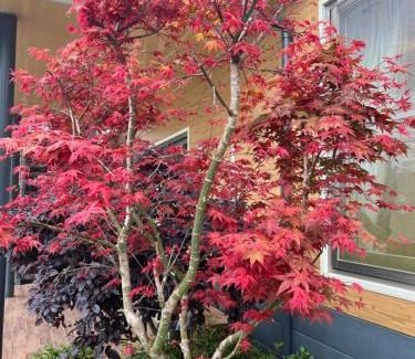 Fuxing District Bed & Breakfast | Tianen Farm