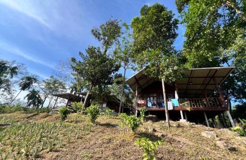 Ranong House | Tiger homestay 2 Phayam