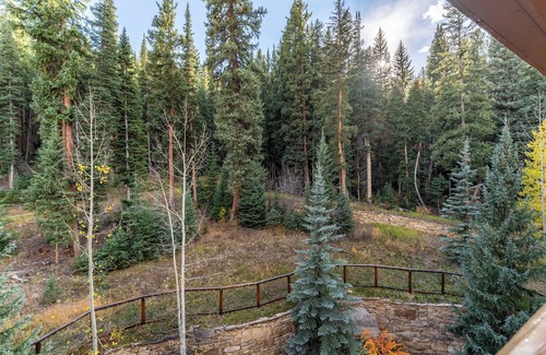 River Run Apartment | Timbers #3078 by Summit County Mountain Retreats