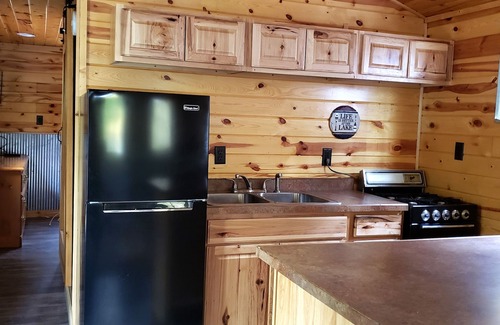 Nevis Cabin | Tiny cabin in towering pines, with lake view. Pets accepted!