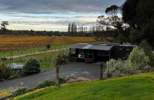 Tuamarina Apartment | Tiny Home Container house Above the Vines