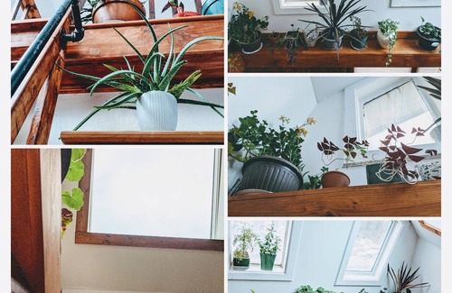 Palenville Apartment | Tiny house A frame-Woodstock, Kaaterskill Falls