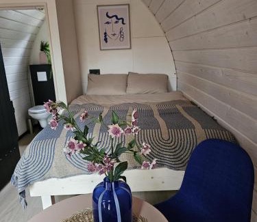 Westergeest Resort | Tiny House De Skierroek