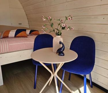 Westergeest Resort | Tiny House De Skierroek
