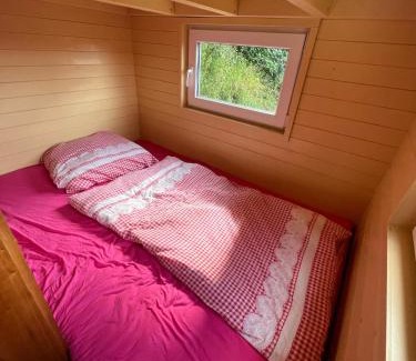Horni Plana Apartment | Tiny house Horní Planá