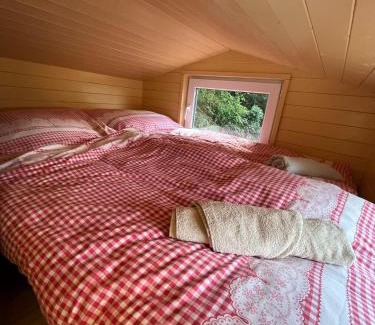 Horni Plana Apartment | Tiny house Horní Planá