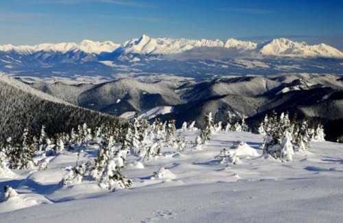 Podturen Apartment | Tiny House Olivia