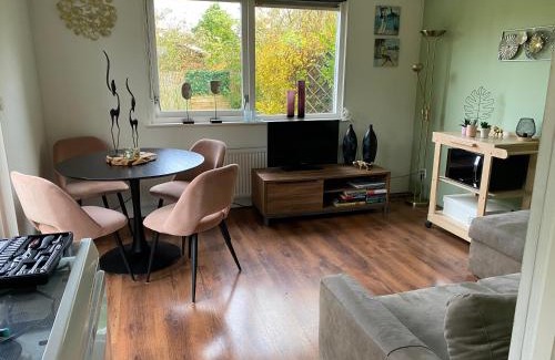 Schoorldam Ski Chalet | Tiny house Schoorl Bergen NH