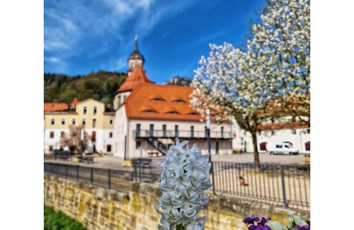 Konigstein an der Elbe House | Tinyroom mit Ausblick