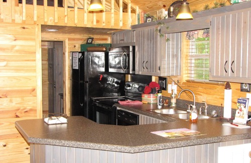 Shell Knob Cabin | TLC-Tiny Cabin with loft located in park like setting.