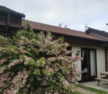 Saint Erth Praze Apartment | Tolroy manor holiday cottage