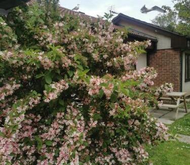 Saint Erth Praze Apartment | Tolroy manor holiday cottage