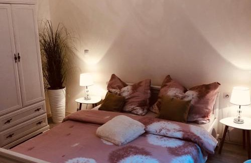 Karlovy Vary Apartment | Tomas Apartments Gold