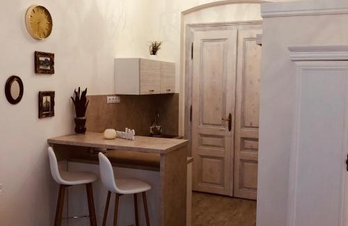 Karlovy Vary Apartment | Tomas Apartments Gold