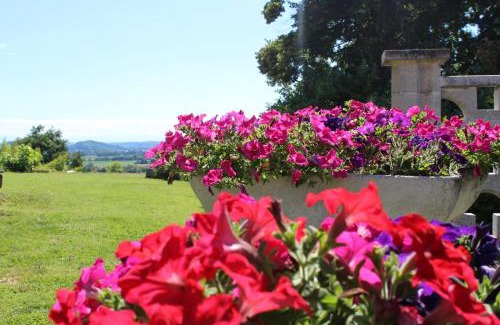 Quarto House | TOMMY's HOUSE BELLEVUE