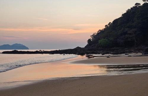 Ranong House | Tommys garden