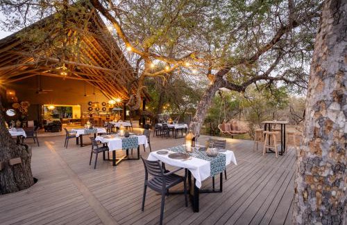 Hoedspruit Cabin | Tomo Safari Lodge