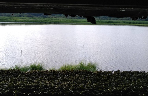 Vendays-Montalivet Cabin | Ton of comfortable hunting on 5ha of Marais 7 mn from the beaches of Montalivet