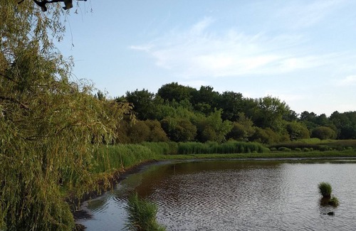 Vendays-Montalivet Cabin | Ton of comfortable hunting on 5ha of Marais 7 mn from the beaches of Montalivet