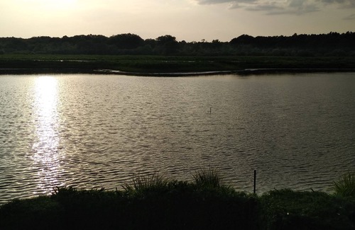 Vendays-Montalivet Cabin | Ton of comfortable hunting on 5ha of Marais 7 mn from the beaches of Montalivet