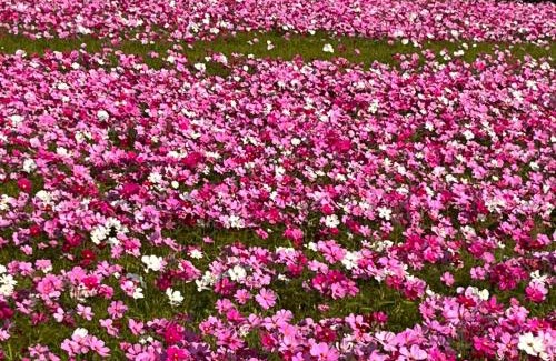 Gongguan House | Tong Xin Farmstay