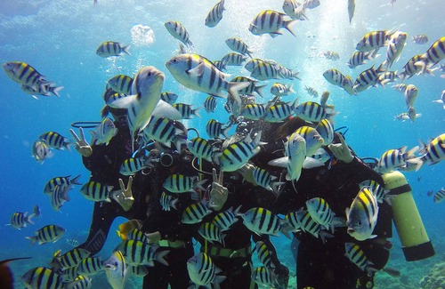 Lyudao Hotel | Toong Hsiang Hotel