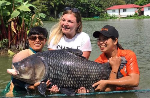 Thong Krut Hotel | TopCats Fishing Resort