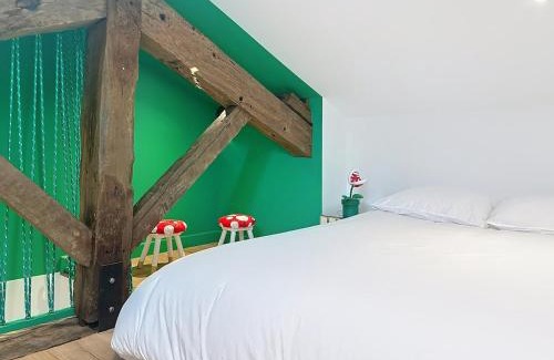 Saint-Georges Apartment | Toulouse-Capitole - Appartement à thème Mario