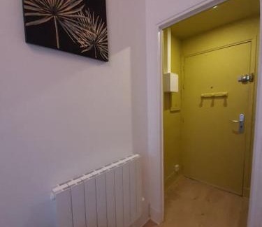 Compans-Caffarelli Apartment | Toulouse centre Compans Caffarelli Superbe Studio