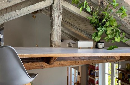 Roman Quarter Apartment | TOURinTURIN appartamento in Torino centro