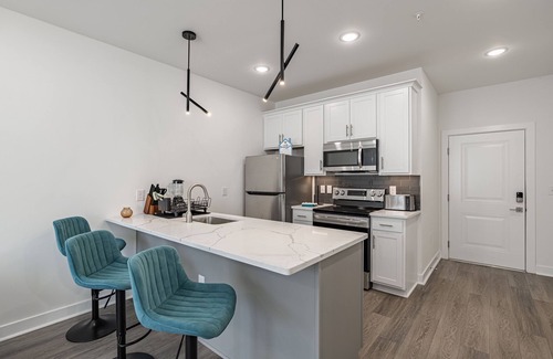 Church Hill Apartment | Tourist Home of Richmond 1-bedroom apartment - Church Hill North TH06