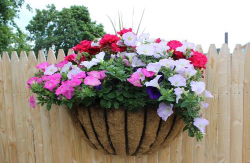 Falmouth Hotel | Town & Beach Motel