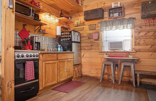 Canaan Valley Apartment | TPZ- Adorable Tiny Home! Pet ok! walk to brewery! A/C