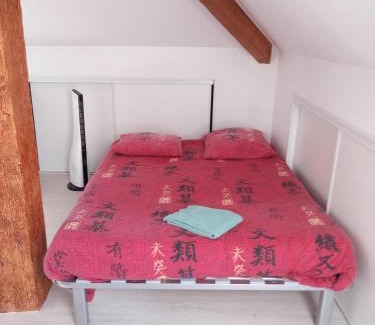 Thyez Apartment | très grand appartement de 90 m2 avec trois ventilateurs, jusqu'à 6 personnes