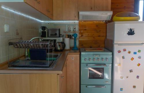 Dorothea Other | Train in the Forest