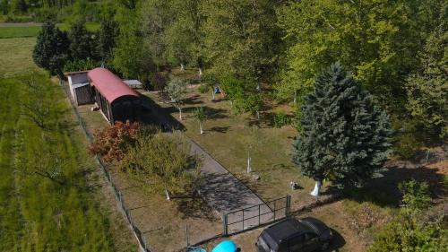 Dorothea Other | Train in the Forest