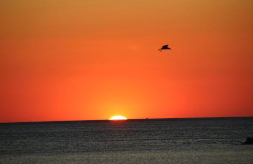 Cetraro Apartment | Tramonto sul Tirreno