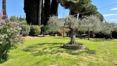 Passignano sul Trasimeno Apartment | Tranquil location with views of Lake Trasimeno! -