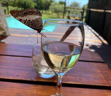 Cullinan House | Tranquillity Day Spa & Lodge